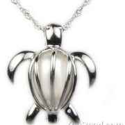 Turtle Cage