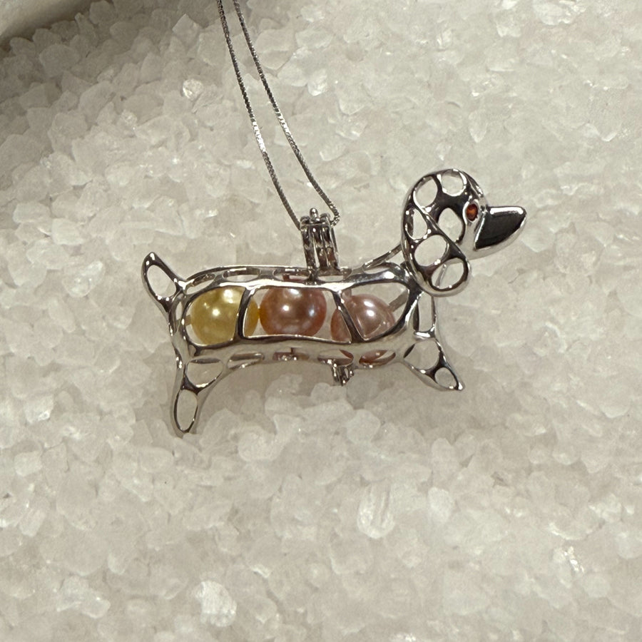 Dachshund Cage
