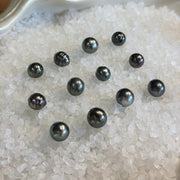 Black Tahitian Bee Hive Pearl Fizzer